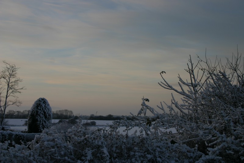 Buckenham Road - Attleborough